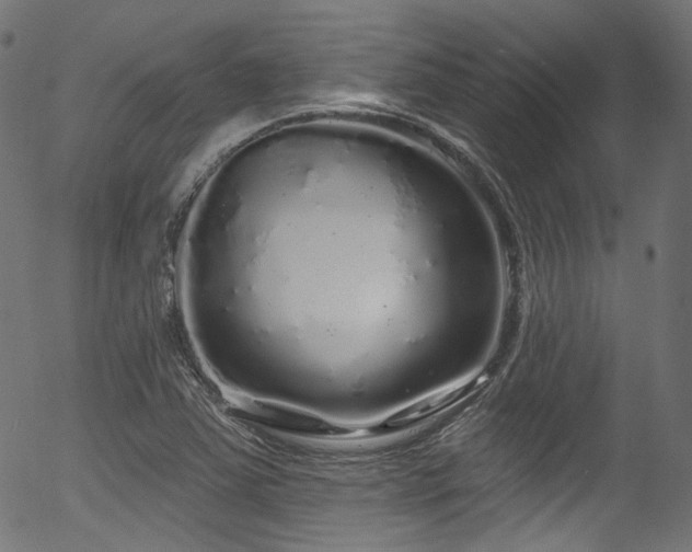 X0000056371363200508291350