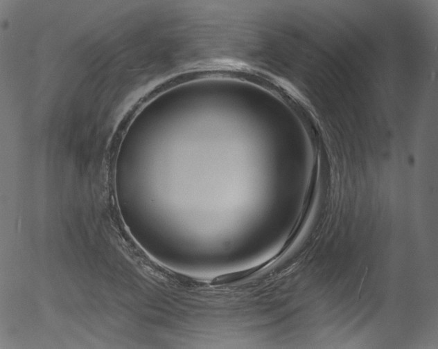 X0000056371364200508291350