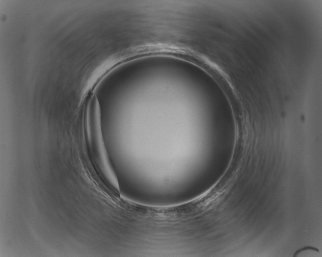 X0000056371365200508291350