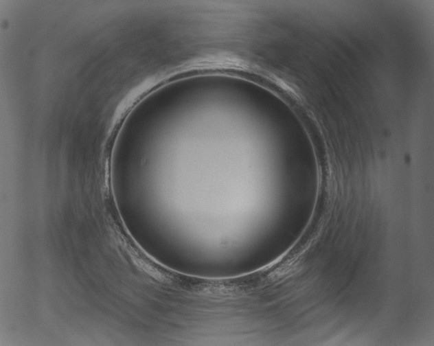 X0000056371366200508291350