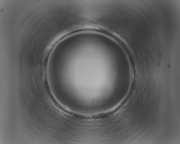 X0000056371367200508291350