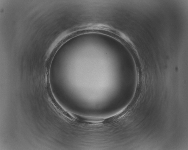 X0000056371368200508291350