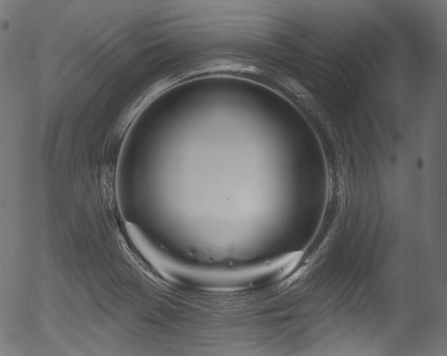 X0000056371369200508291350