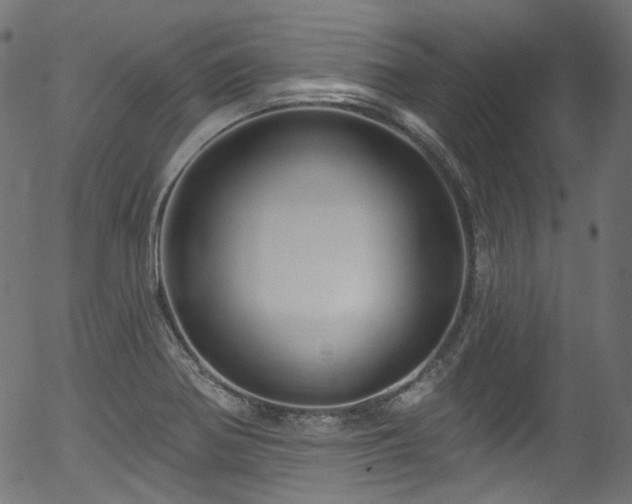 X0000056371370200508291350