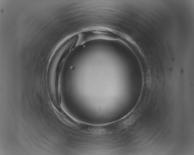 X0000056371372200508291349