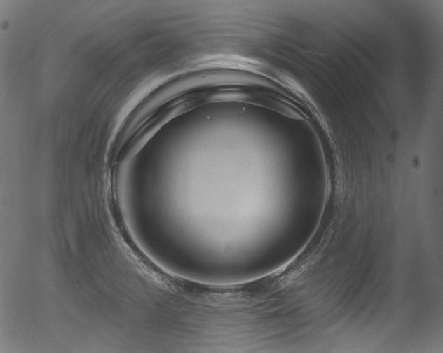 X0000056371376200508291349