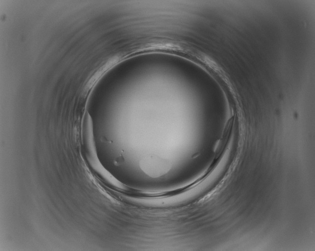 X0000056371377200508291349