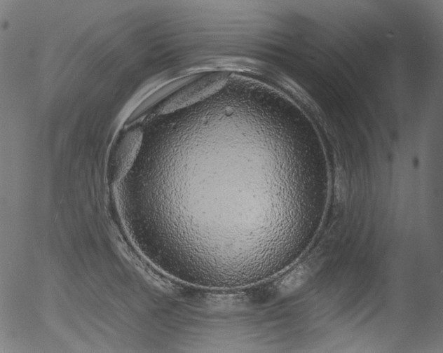 X0000056371378200508291349