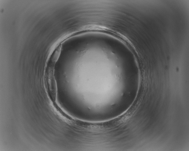 X0000056371379200508291349