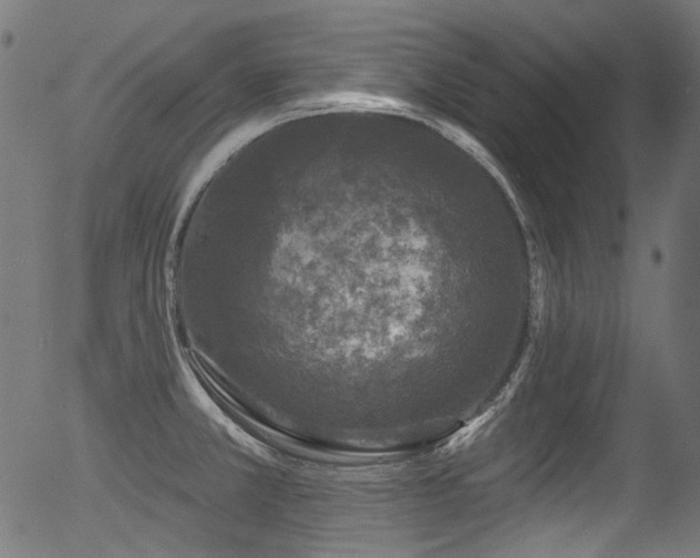 X0000056371381200508291349