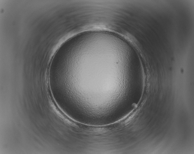 X0000056371382200508291349