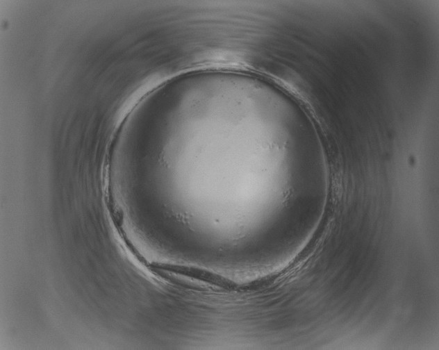 X0000056371383200508291349