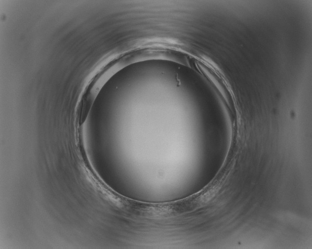 X0000056371384200508291349