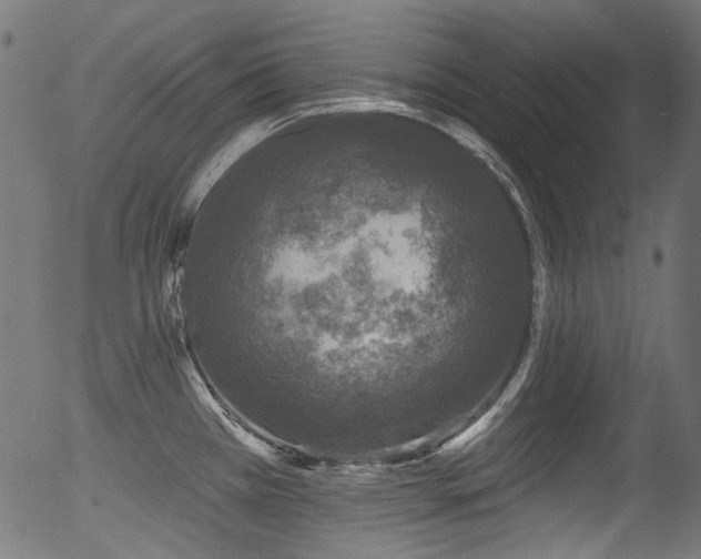 X0000056371385200508291349