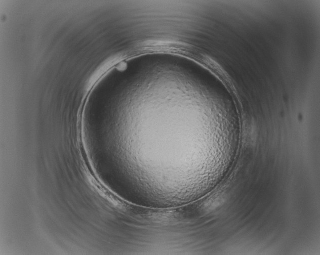 X0000056371386200508291349