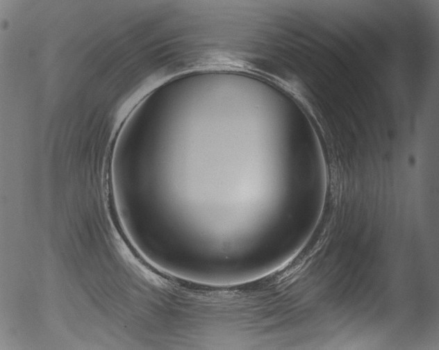 X0000056371387200508291349