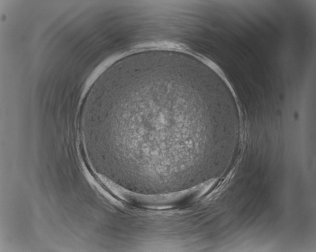 X0000056371389200508291349