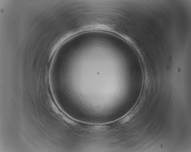 X0000056371390200508291349