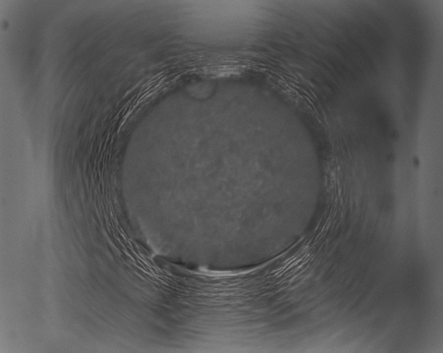 X0000056371393200508291348