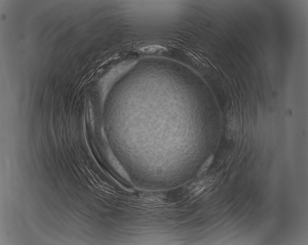 X0000056371394200508291348