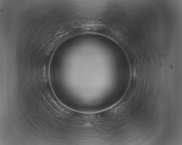 X0000056371396200508291348