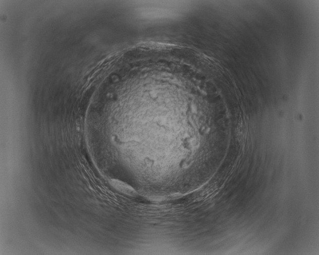 X0000056371397200508291348