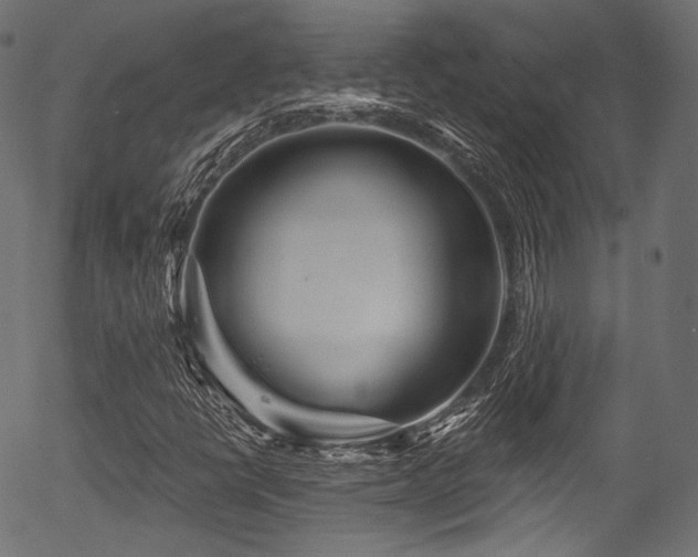 X0000056371398200508291348