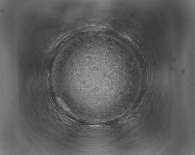 X0000056371399200508291348