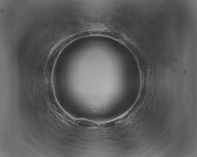 X0000056371400200508291348