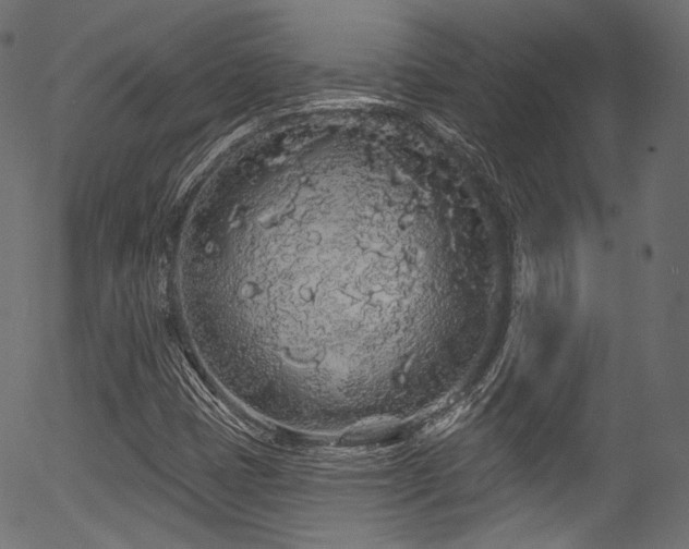 X0000056371401200508291348