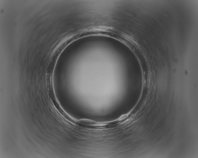 X0000056371404200508291349