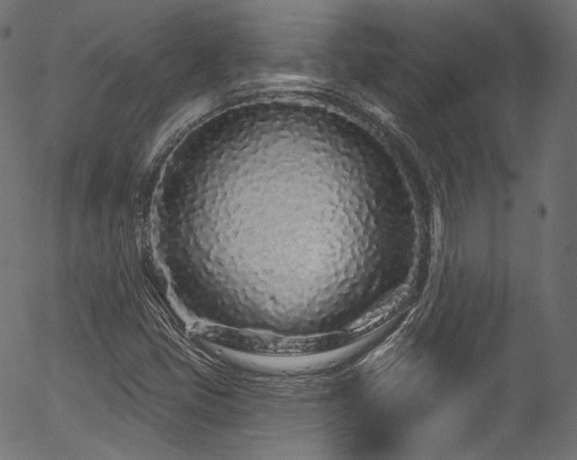 X0000056371405200508291349