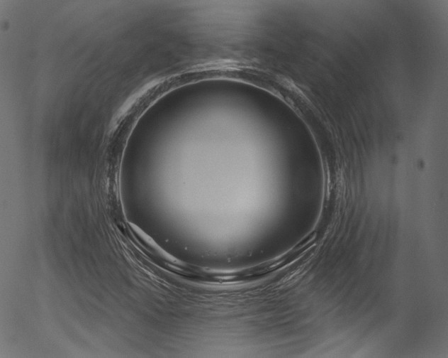 X0000056371406200508291349