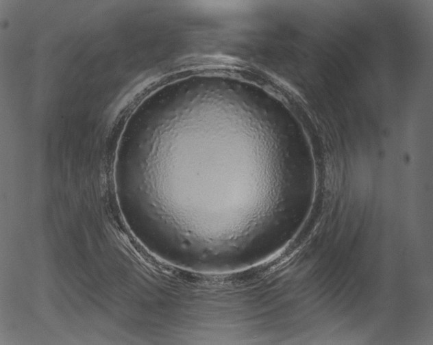 X0000056371407200508291349