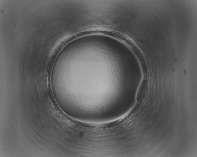 X0000056371408200508291349