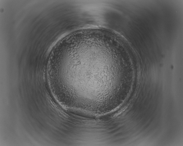 X0000056371409200508291349