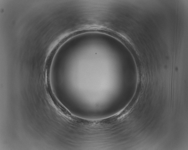 X0000056371414200508291349