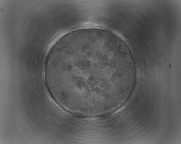 X0000056371415200508291349