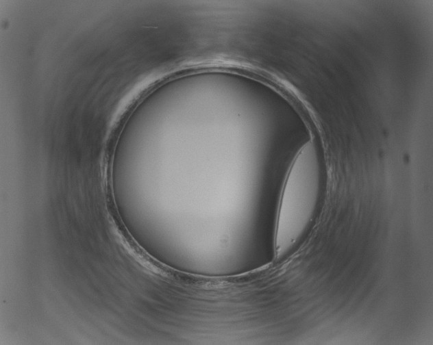 X0000056371416200508291349