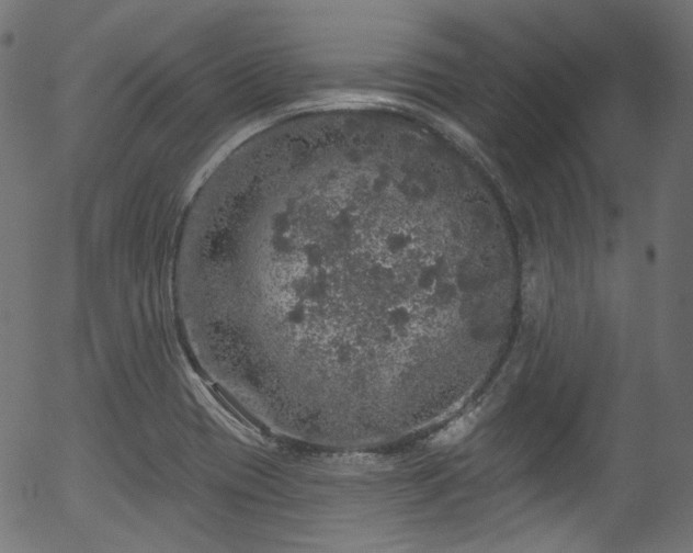 X0000056371417200508291349