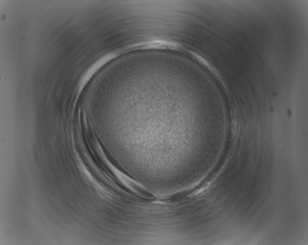 X0000056371418200508291349