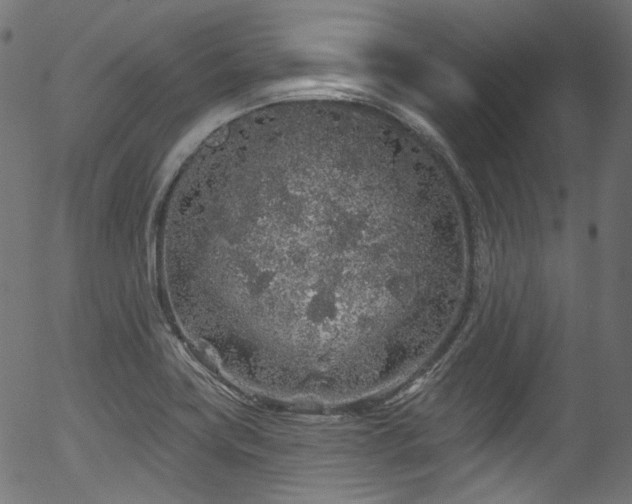 X0000056371419200508291349