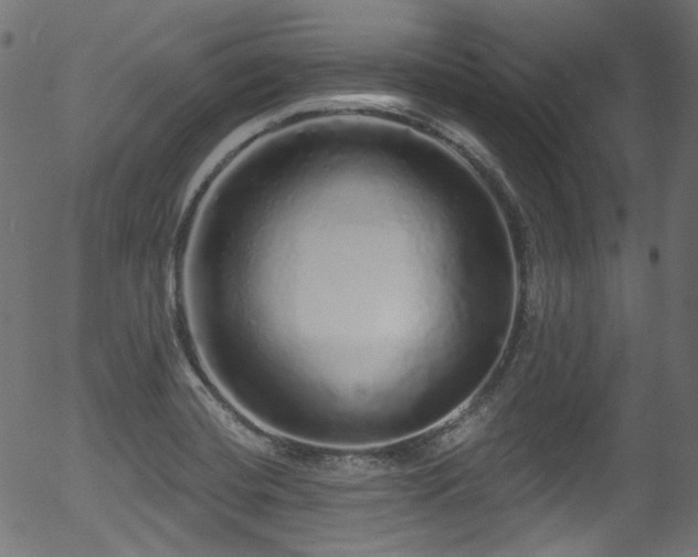 X0000056371420200508291349