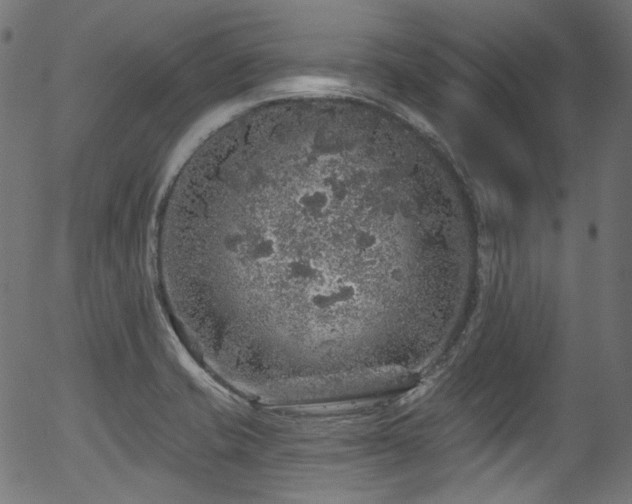 X0000056371421200508291349