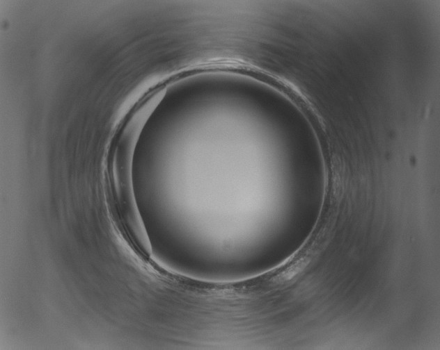 X0000056371422200508291349