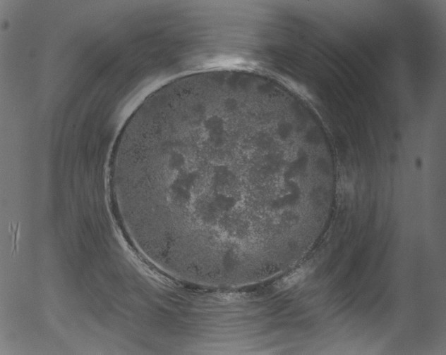 X0000056371423200508291349