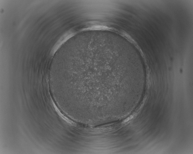 X0000056371425200508291349