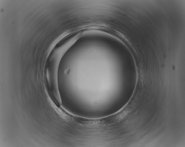 X0000056371426200508291349