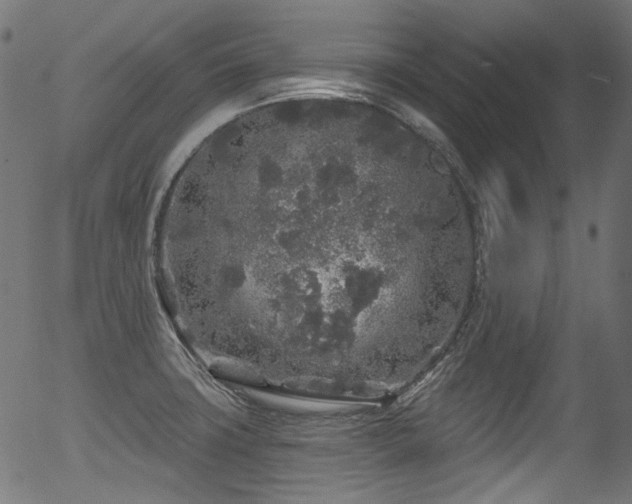 X0000056371427200508291349