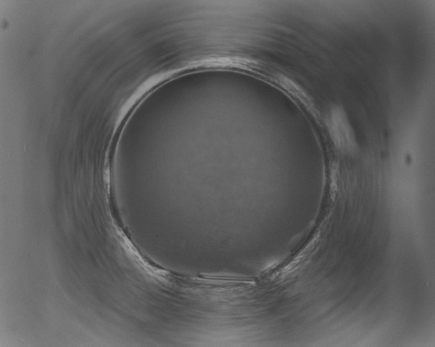 X0000056371428200508291349